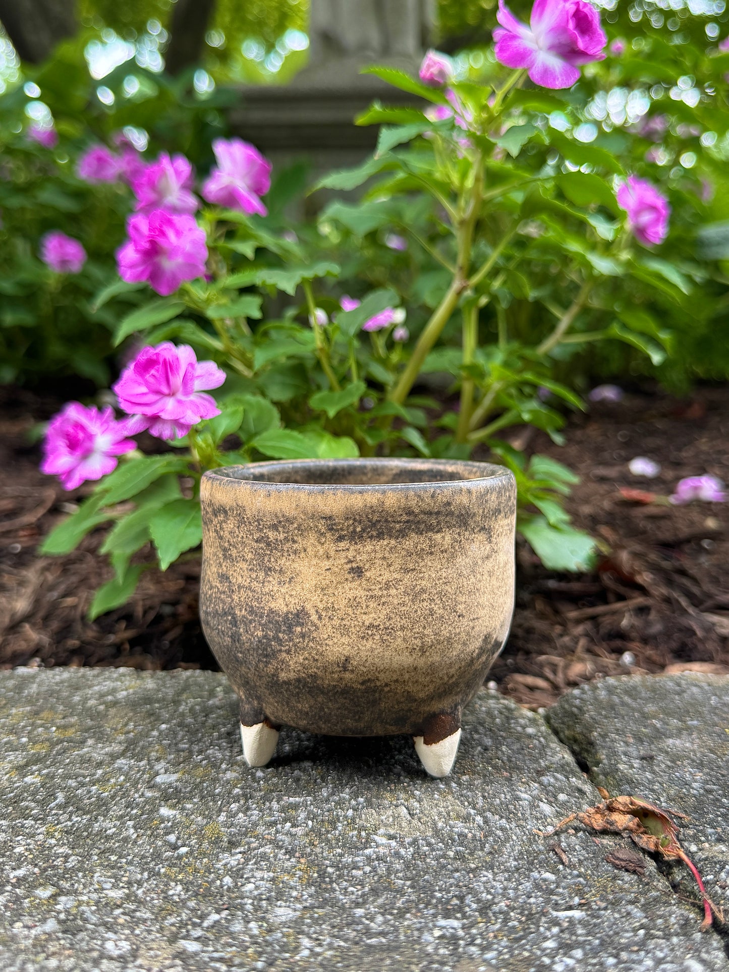 Espresso Cup