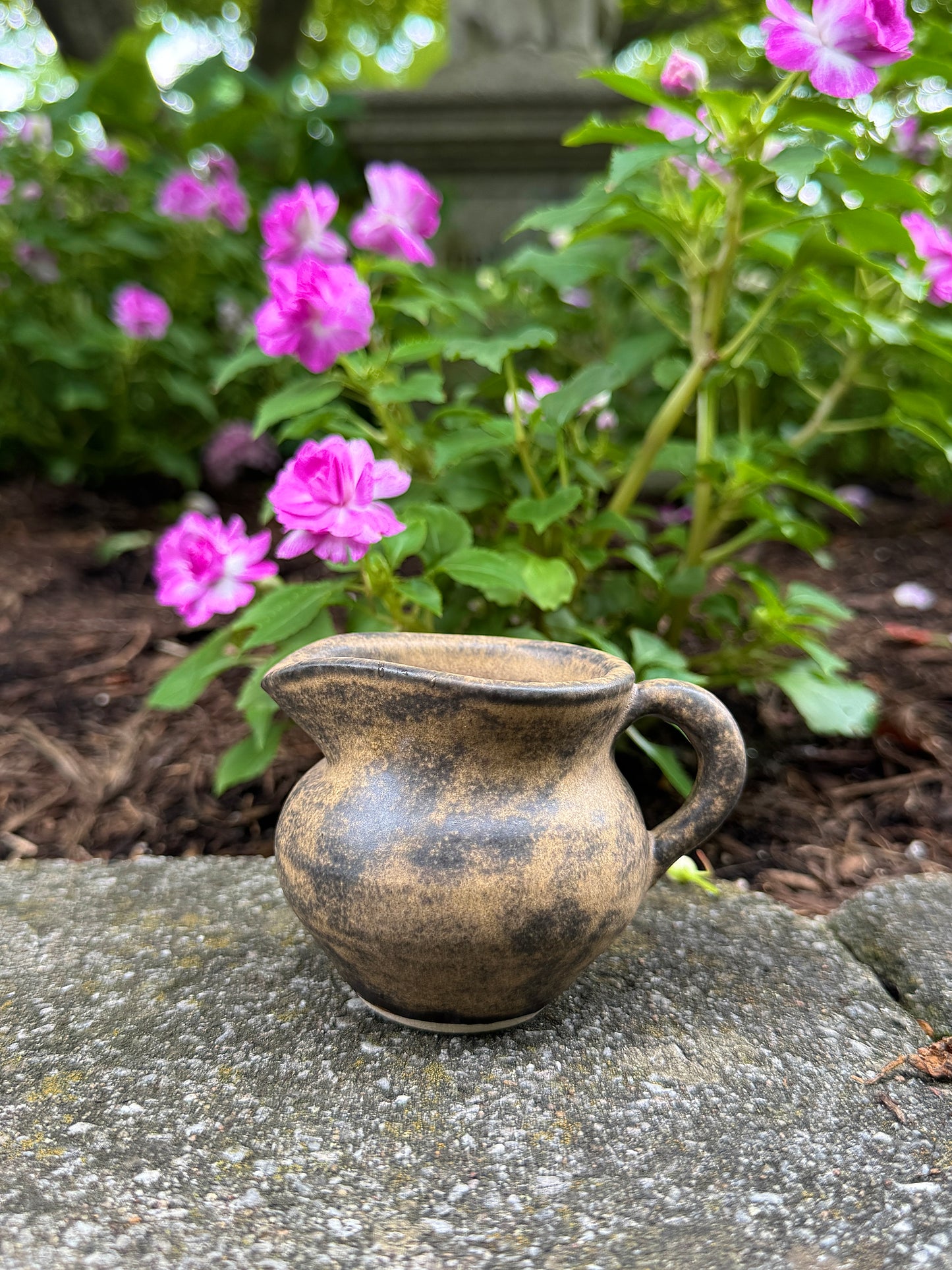 Tiny Pitcher